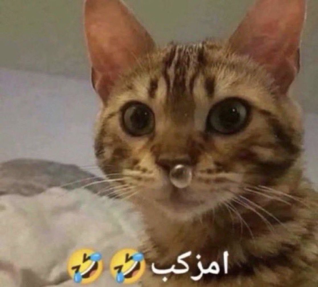 nleonfeaked's tweet photo. وضعي حالياً https://t.co/WJIUzaqmjj