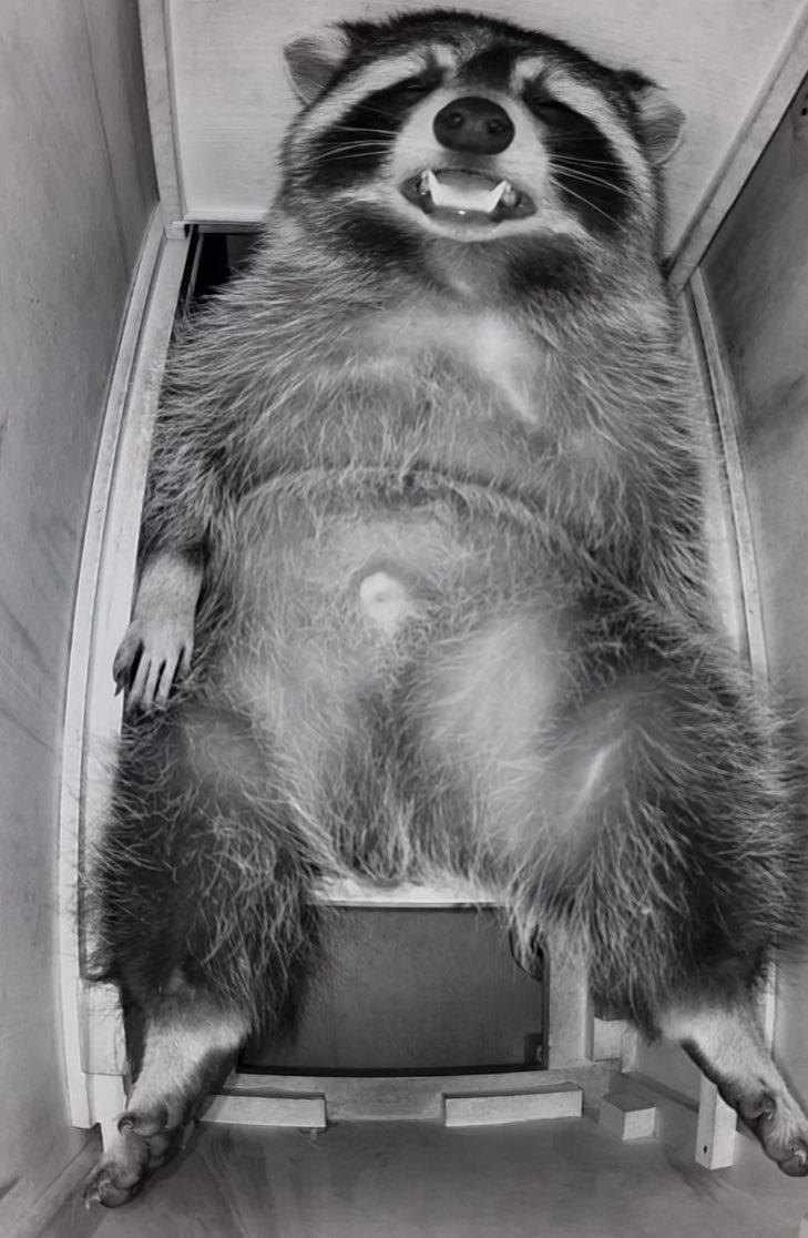Unordinaryket's tweet photo. I hate when I’m trying to do something and then I just randomly fall asleep like this https://t.co/z7CPwAuKjC