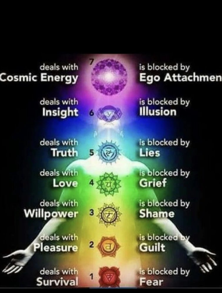 roseaugoblin's tweet photo. teoria de seven heavens:

vendo a fala do guru pathik acho que as temporadas vão ser divididas em livros que representam os chakras
o primeiro é sobre liberar o medo
o segundo, a culpa
terceiro, a vergonha
e por último, o luto

será que alguém vai morrer? a nisha? não sei https://t.co/HmeJKPosGN