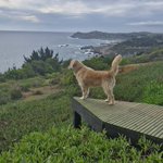 Photo by Elisabet Gerber (@betgerber)