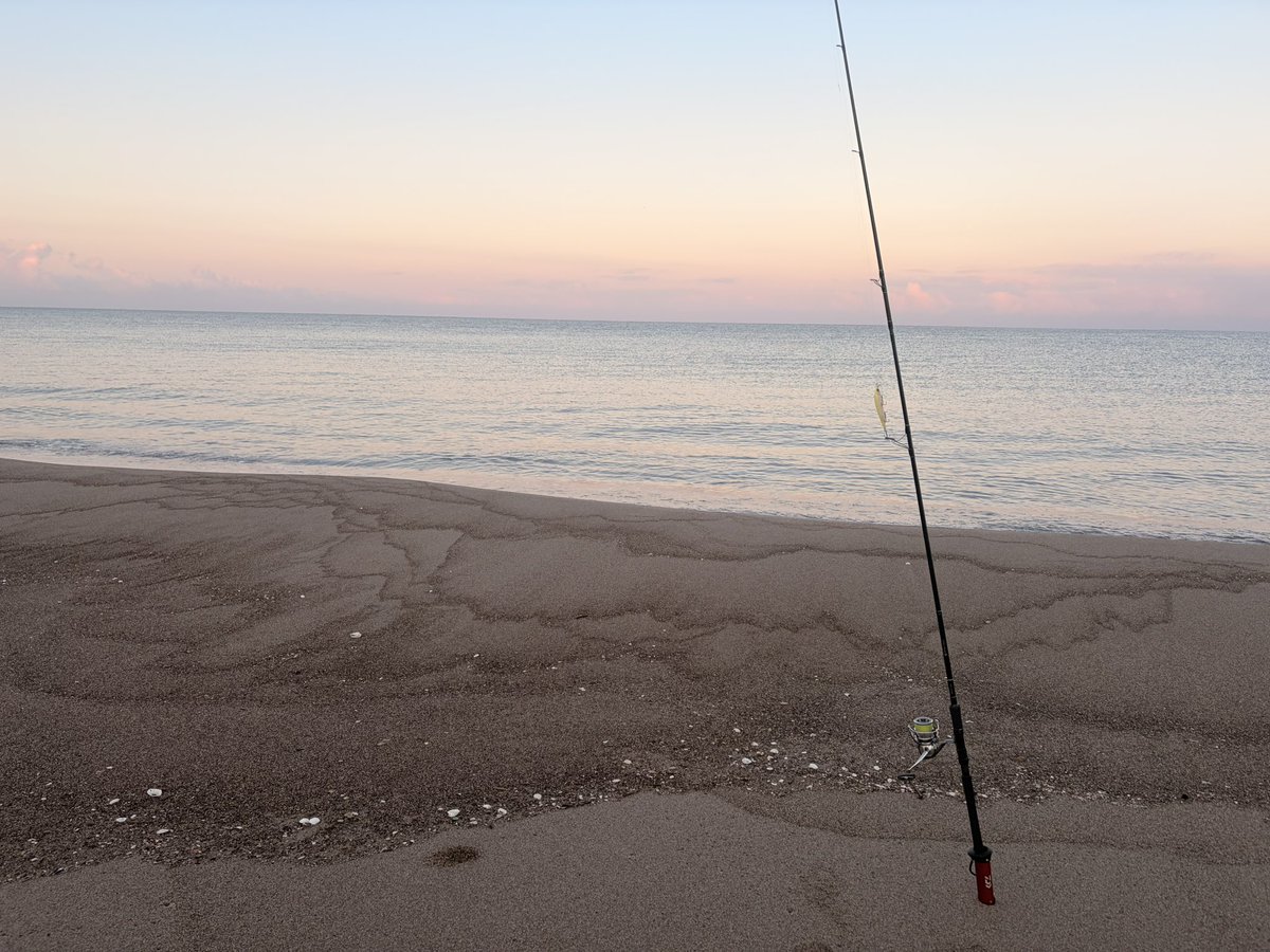 Scarecrow_fgo's tweet photo. ヒラメ調査開始‼️🎣 https://t.co/KdAJqhYTmK