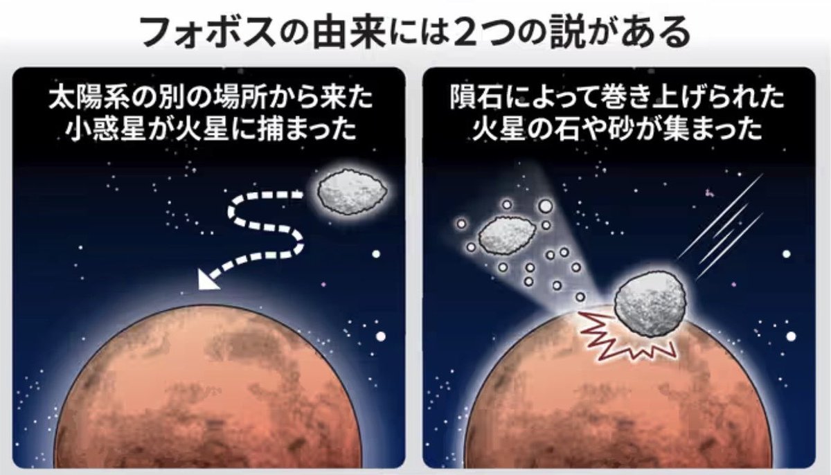 CedarNaut's tweet photo. いよいよ、打ち上げですね！10月20日、午前4時41分ごろに種子島��宙センターから打ち上げです。
小惑星フォボスは、火星から生まれたのか、それとも全く別の宇宙からやってきたのか。

Cedar Nautも、特別な商品を出店する予定です。お楽しみに！ https://t.co/9UiX63hXuz