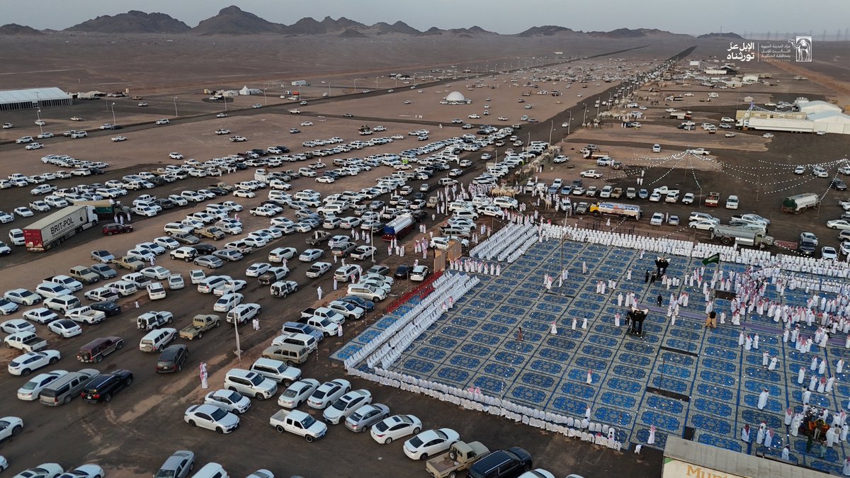 Camel_Auction_3's tweet photo. صور جوية ترصد أجواء مزاد المدينة المنورة الثالث للإبل.

#مزاد_المدينة_المنورة_الثالث_للإبل https://t.co/EzjFBqaseB