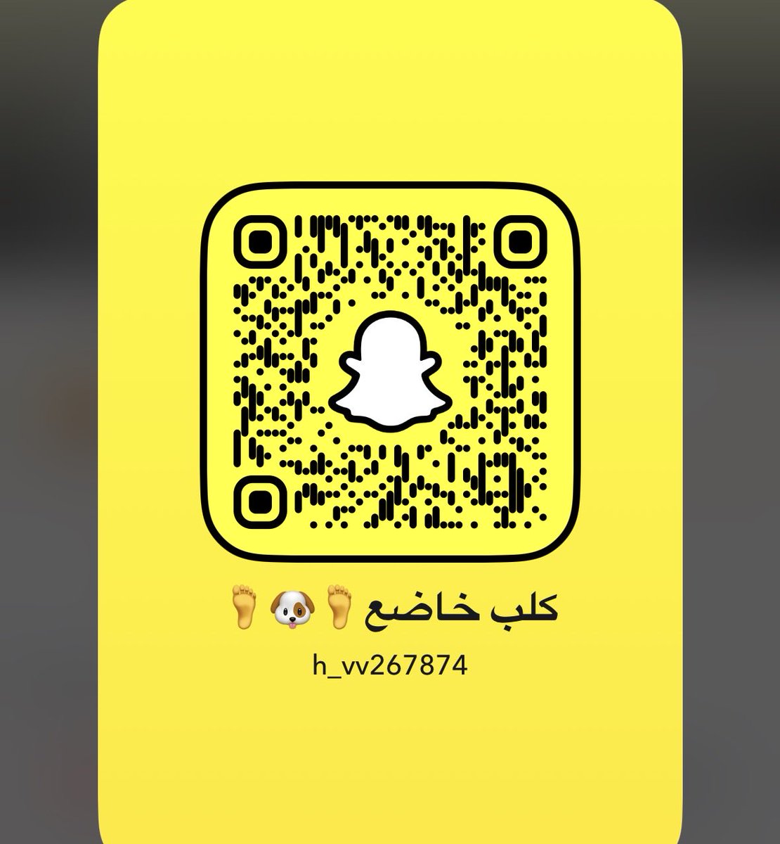 Habsbsjejb's tweet photo. بدي عمه عني��ة #عمه #كلب https://t.co/Eh2UYSbTYS