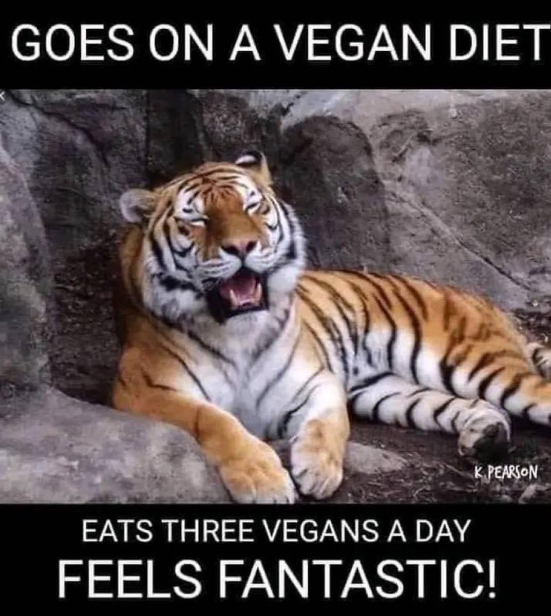 EvanKirstel's tweet photo. @dominicvford https://t.co/EyxJQrFm2W