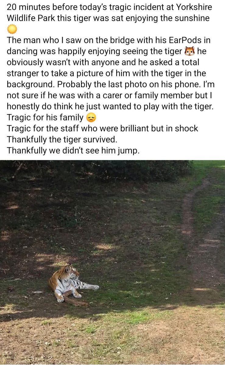 ultimocolinesio's tweet photo. Si quiso sacar una foto con el tigre . No se sabe si era mentalmente descapacitado pero se investiga https://t.co/yLlzppVdOG