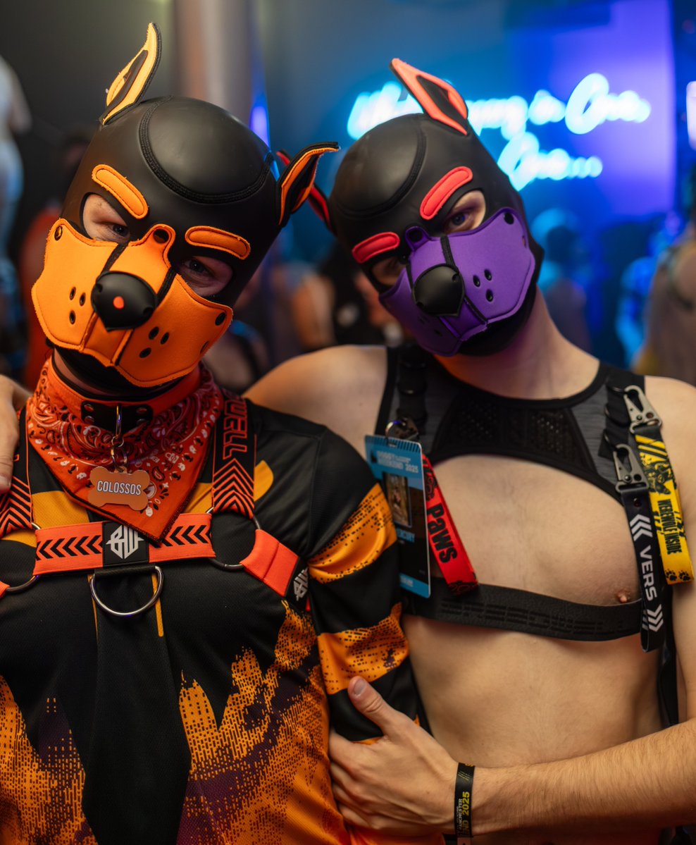 ClubAlert's tweet photo. Doggy weekend wristband or not, we're excited to see you soon...

Only 5 days, start your doggy weekend right.

🎟️ Tickets:
✅️ £7.50 with a wristband
✅️ £15 without a wristband
➡️ https://t.co/v7OZ09paNm 

#doggyweekend #pupcommunity https://t.co/atXCcwKq84