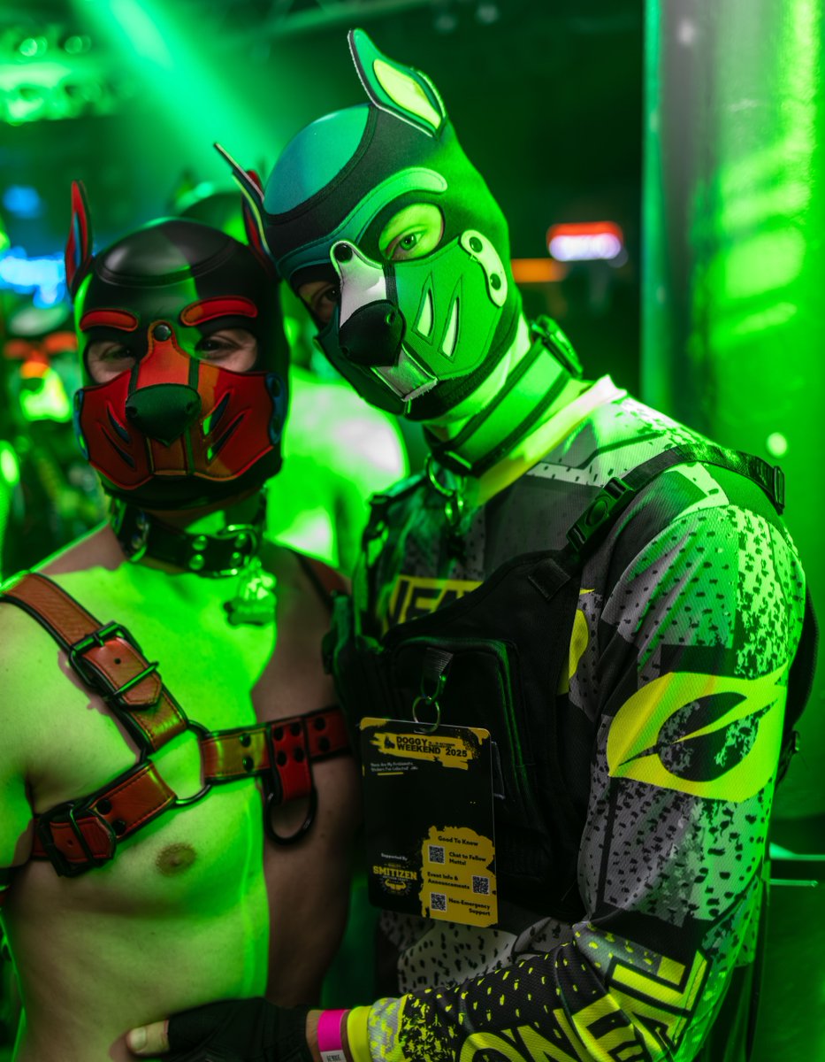 ClubAlert's tweet photo. Doggy weekend wristband or not, we're excited to see you soon...

Only 5 days, start your doggy weekend right.

🎟️ Tickets:
✅️ £7.50 with a wristband
✅️ £15 without a wristband
➡️ https://t.co/v7OZ09paNm 

#doggyweekend #pupcommunity https://t.co/atXCcwKq84