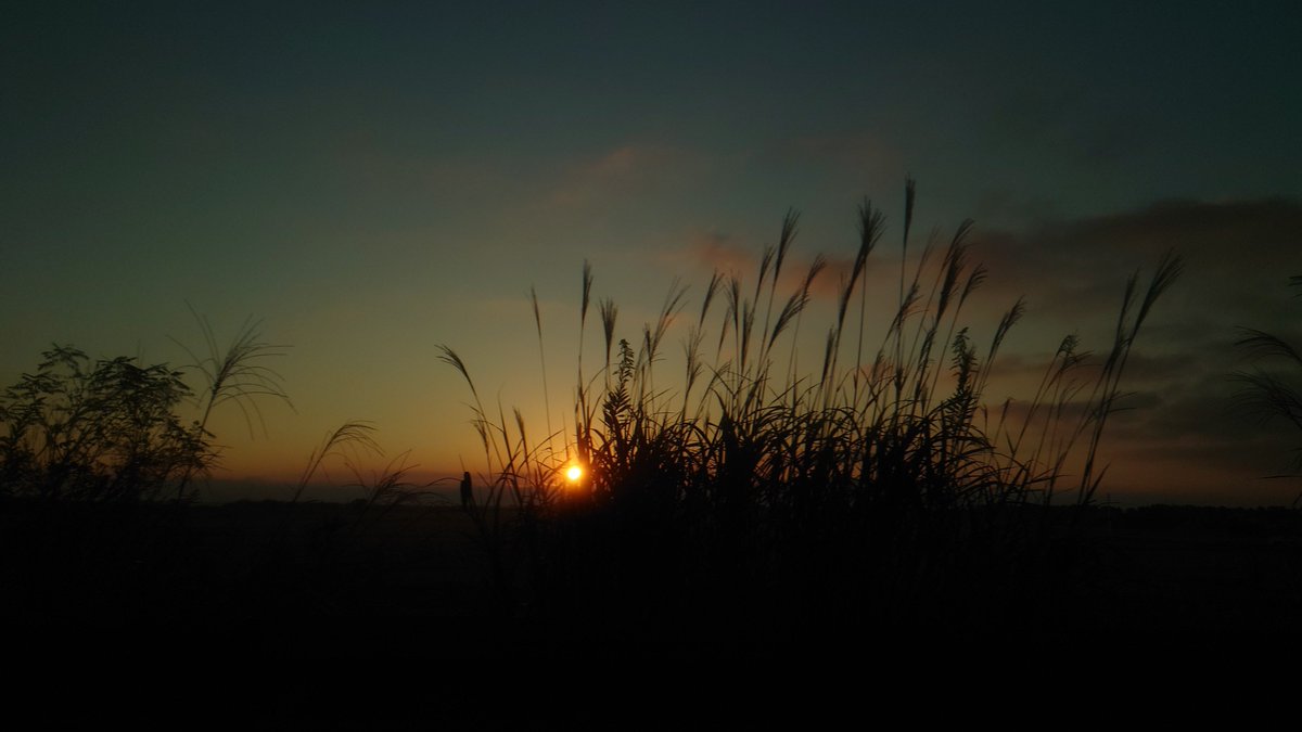 MOCHACOT_'s tweet photo. ASA🌞 https://t.co/wOjKZJ6nTH