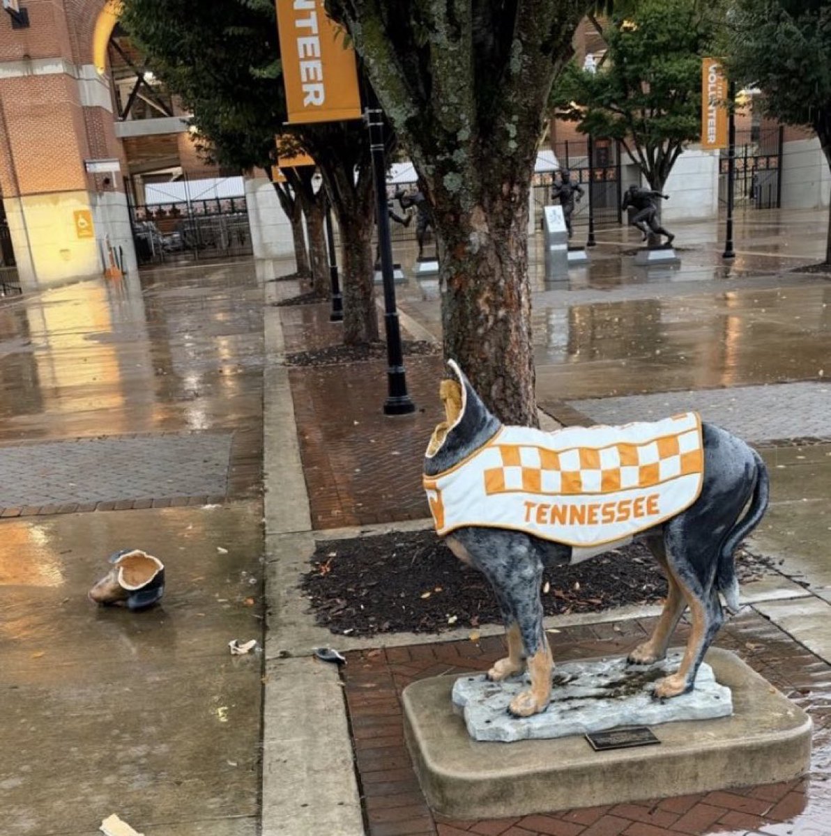 BarstoolTenn tweet picture