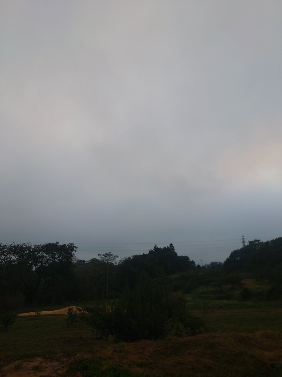 CBR_650_R's tweet photo. おはようございます☁気温１６℃位どんより曇り空そのおかげか寒くない👍️天気予報は☀☀日曜日だげんちょもきゅうり🥒収穫だがら💪　今日も頑張っペない　＃福島県伊達市　＃きゅうり　＃磐梯吾妻スカイライン　の紅葉見に行ってみっかなぁ〜　＃バイクツーリング https://t.co/NJYHtWQNNf