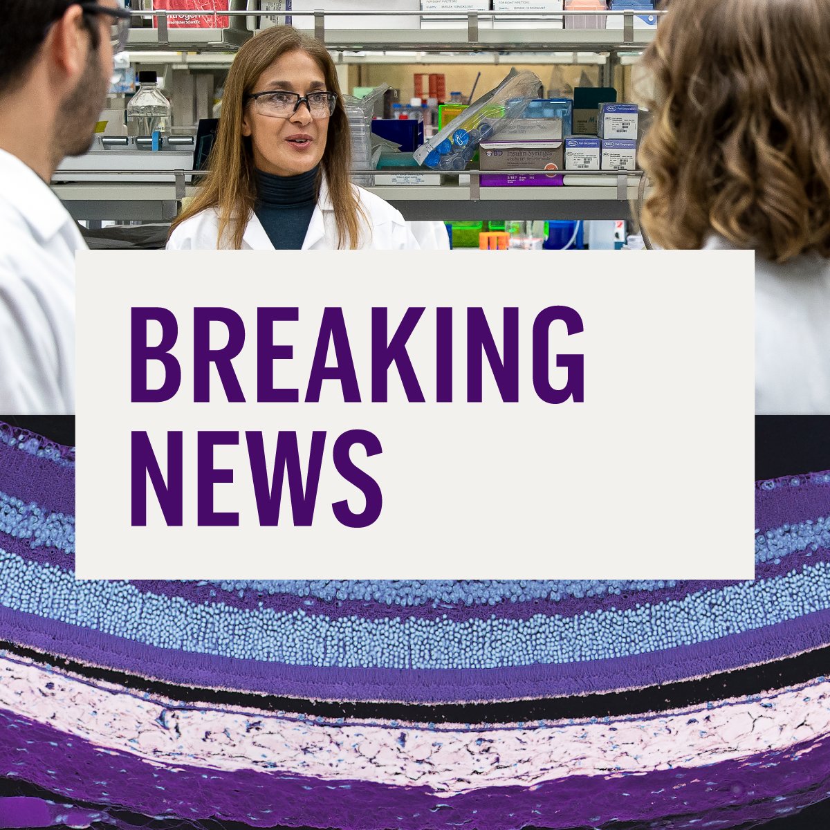genentech's tweet photo. #Breaking: New Phase III one-year data in uveitic macular edema (UME) will be presented at #AAO2026, alongside news that the @US_FDA has accepted our investigational treatment for UME for review. Learn more: https://t.co/RD58Ek26IG https://t.co/pB6dBZ5zqb