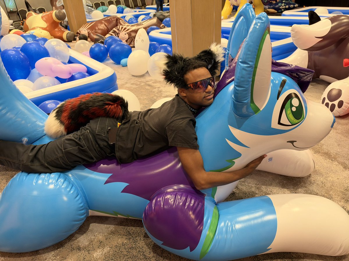 CocoFosky's tweet photo. I'm a dog. I love squeaky things. Squeaky dog? Yes please!!! Thank you @PoolToyParty for having this cute boy and @XavierHuskqueak for making him. I'm so in love I'm trying to find a way to adopt one. Do you like squeaky dogs too? #SqueakySaturday #inflatable #squeaky #furry https://t.co/noKPmS3je5