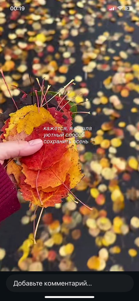 this__hurricane's tweet photo. да суки, уже сотое видео вижу на тему листьев и необыкновенной осени в этом году. почему тока я прошлой осенью на эту тему гиперфиксировала и ещё считала себя сумасшедшей https://t.co/ootS11Qed7