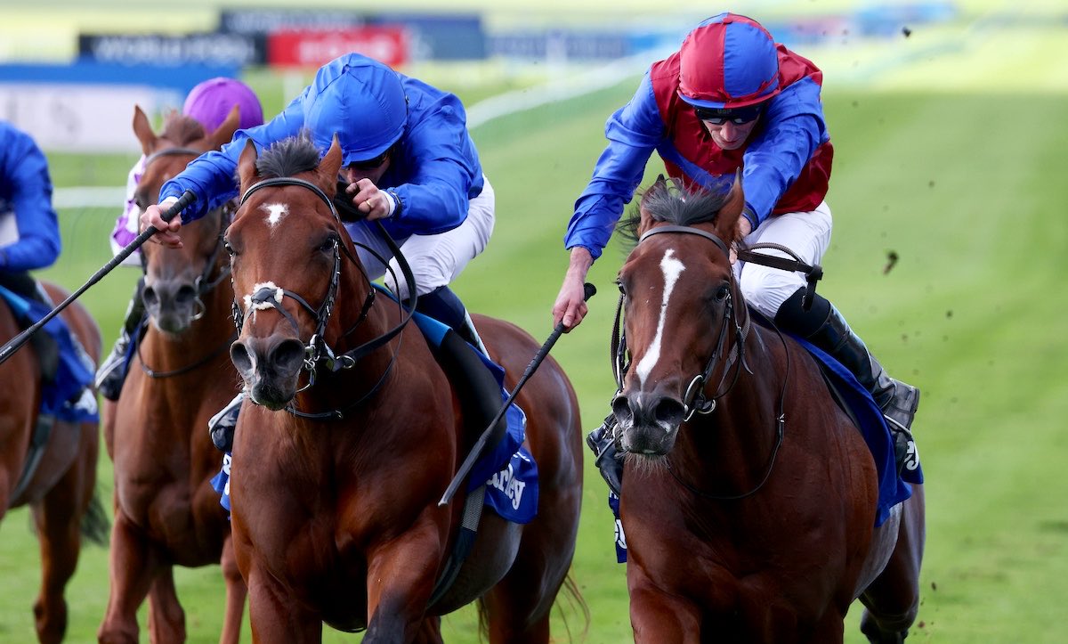 weatherbysltd's tweet photo. An updated pedigree for Darkness Falls who ran on well to land the Group 1 Darley Dewhurst Stakes @NewmarketRace today - his second successive top-level success.

The son of Camelot @coolmorestud was bred by Lynch Bages Ltd out of the Listed-placed winner You'resobeautiful (No Nay Never).
You'resobeautiful is herself a daughter of 1999 Irish 1,000 Guineas winner Hula Angel.

Family of four-time Group winner Coltrane (pic)