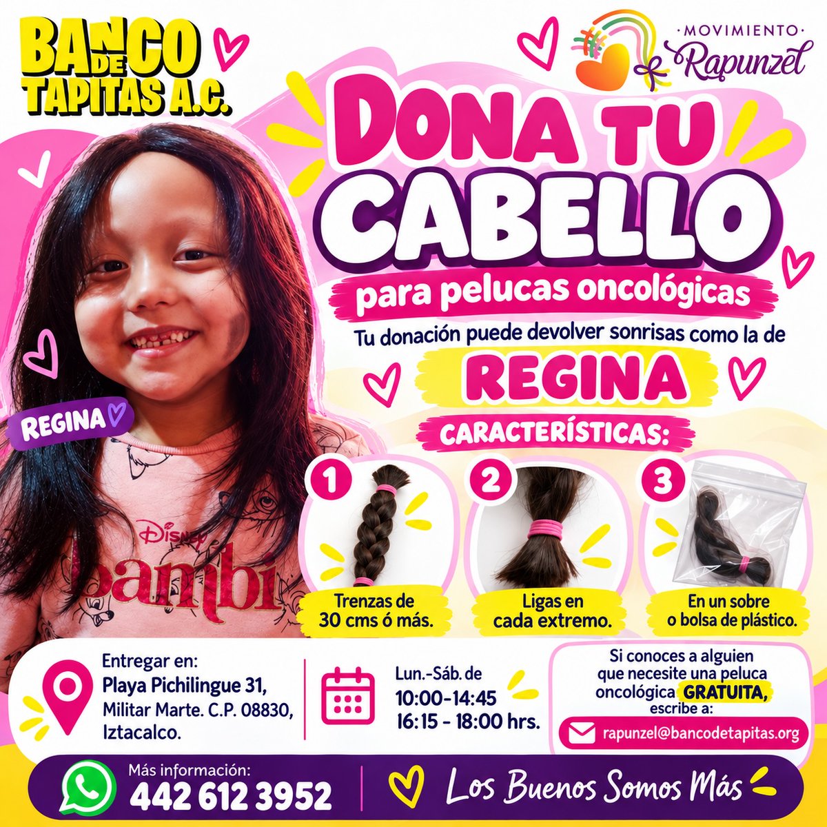 bancodetapitas's tweet photo. #URGENTE ¡Creamos PELUCAS ONCOLÓGICAS gratuitas!

A través de Movimiento Rapunzel de Banco de Tapitas A.C., transformamos cabello donado en pelucas oncológicas gratuitas para niñas y mujeres que enfrentan el cáncer, como nuestra querida Regina. 🎗️💜

✂️ ¿Cómo donar tu cabello?
• Trenzas de 30 cm o más.
• Coloca ligas en cada extremo.
• Guarda la trenza en un sobre o bolsa de plástico.
📍 CDMX: Playa Pichilingue 31, Col. Militar Marte, C.P. 08830, Iztacalco.
🗓️ Lunes a sábado
⏰ 10:00–14:45 y 16:15–18:00 hrs.

📦 ¿Vives en otra parte de México? Consulta nuestros demás puntos de recepción en ⁠https://t.co/ZrKadRsCQk y encuentra el más cercano.

💜 ¿Conoces a alguien que necesite una peluca oncológica GRATUITA? Escríbenos a rapunzel@bancodetapitas.org.

📲 Más información: 442 612 3952

#MovimientoRapunzel #DonaTuCabello #BancoDeTapitas #PelucasOncológicas #LosBuenosSomosMás
