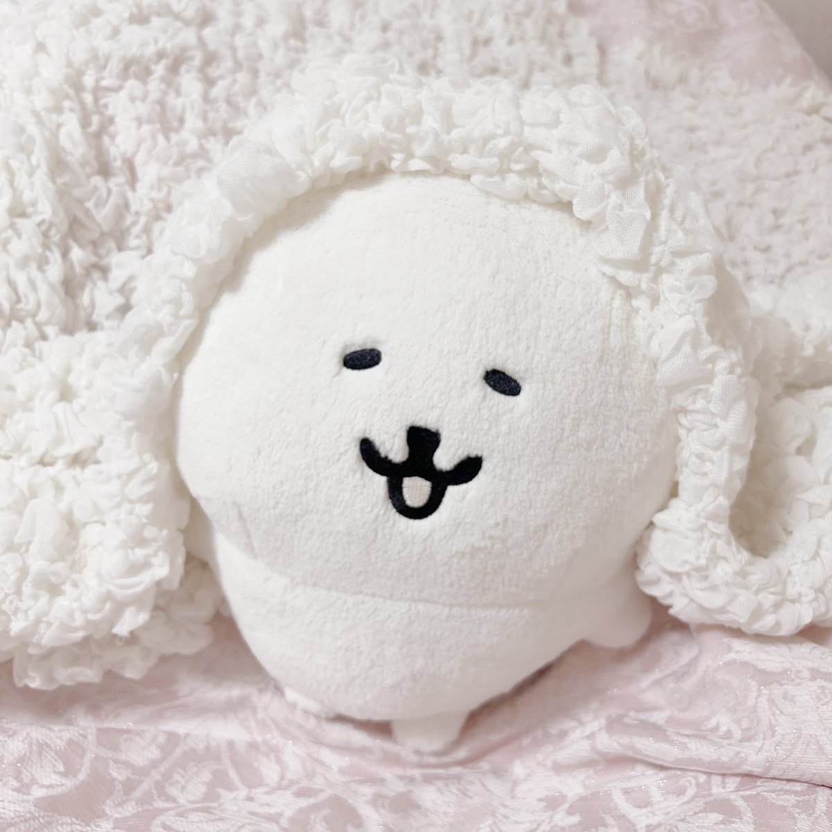 __4087's tweet photo. 早起きだ〜 https://t.co/Np9Kuk91rx