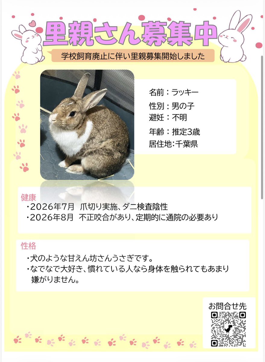 chocomarria's tweet photo. 🐰おはよ〜( ´ ▽ ` )ﾉ

#学校うさぎ　#里親募集中　#ラビネスフェスタ https://t.co/j9bE5K4ZiM