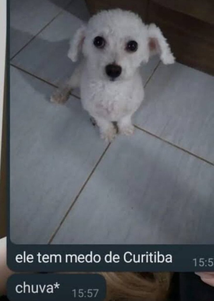 xoricantanaraba's tweet photo. dos dois** https://t.co/wpvYi1y79F