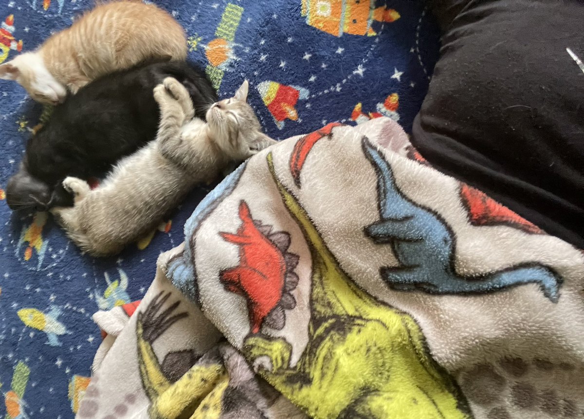 sooulgnab's tweet photo. descansando después de no hacer nada con unos de mis hijos siquesi https://t.co/hkHKkK0VNH