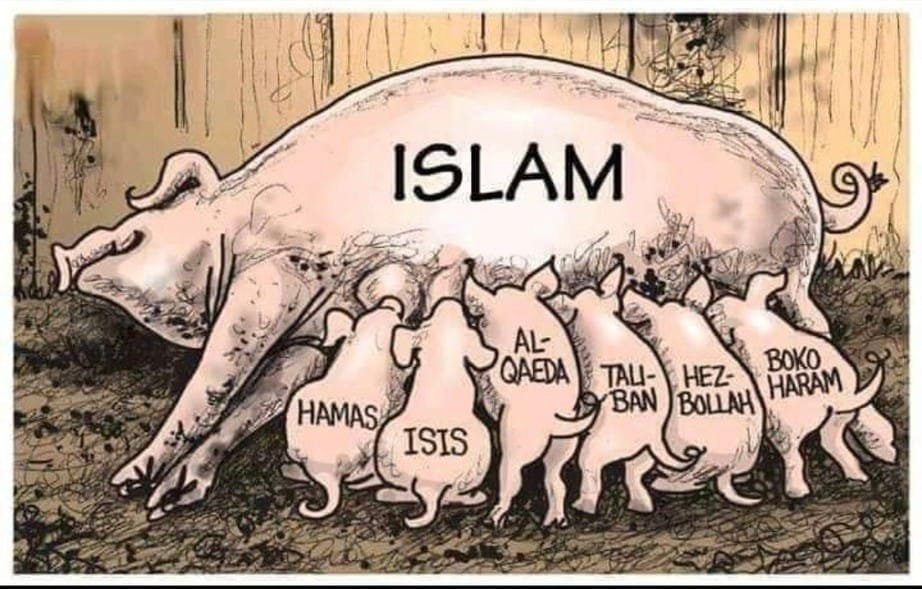 FUCKMuslims2026's tweet photo. @LorenaR97671 巴勒斯坦问题让很多人意识到伊斯兰教本身就是邪恶的 https://t.co/5pqk1MNcQk
