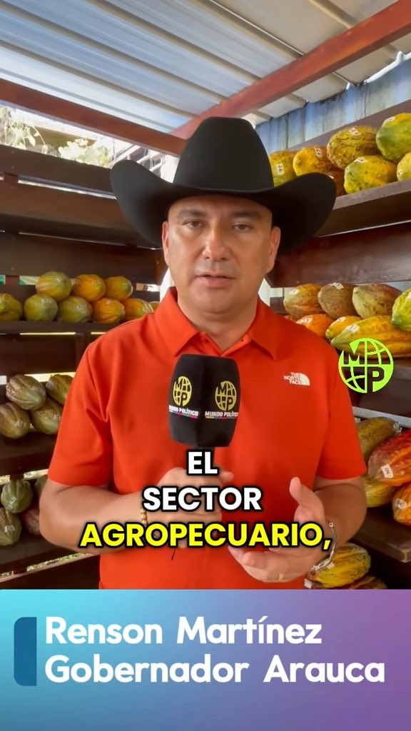 A vertical video screenshot of a man in a black cowboy hat and red polo shirt holding a microphone with 'MH' and 'MUCHO POLLO' logos, standing in a fruit storage area, with text reading 'EL SECTOR AGROPECUARIO' and 'Renson Martínez Gobernador Arauca'.