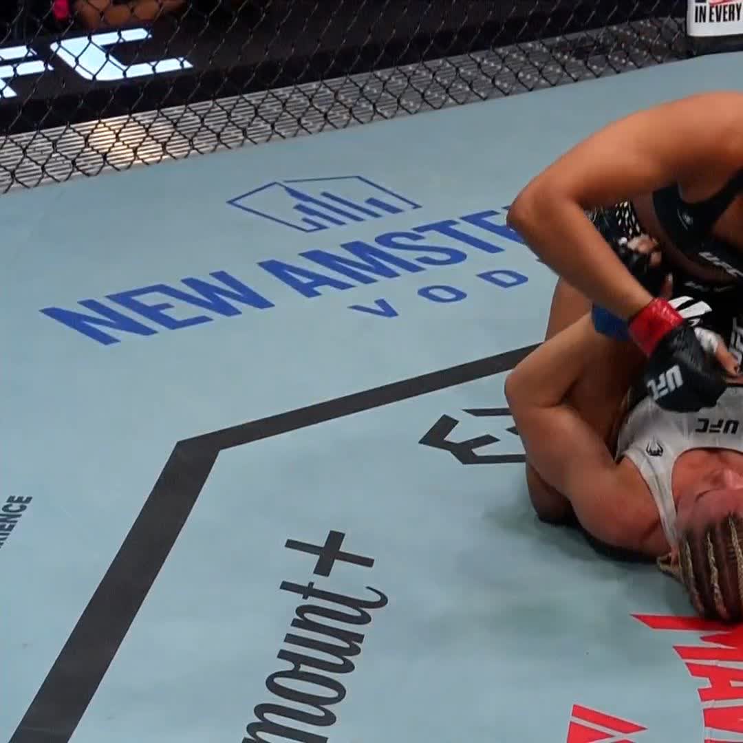 **Prompt:** Two UFC fighters grappling on the mat near the cage wall, with 'NEW AMSTERDAM VODKA' branding visible on the canvas.