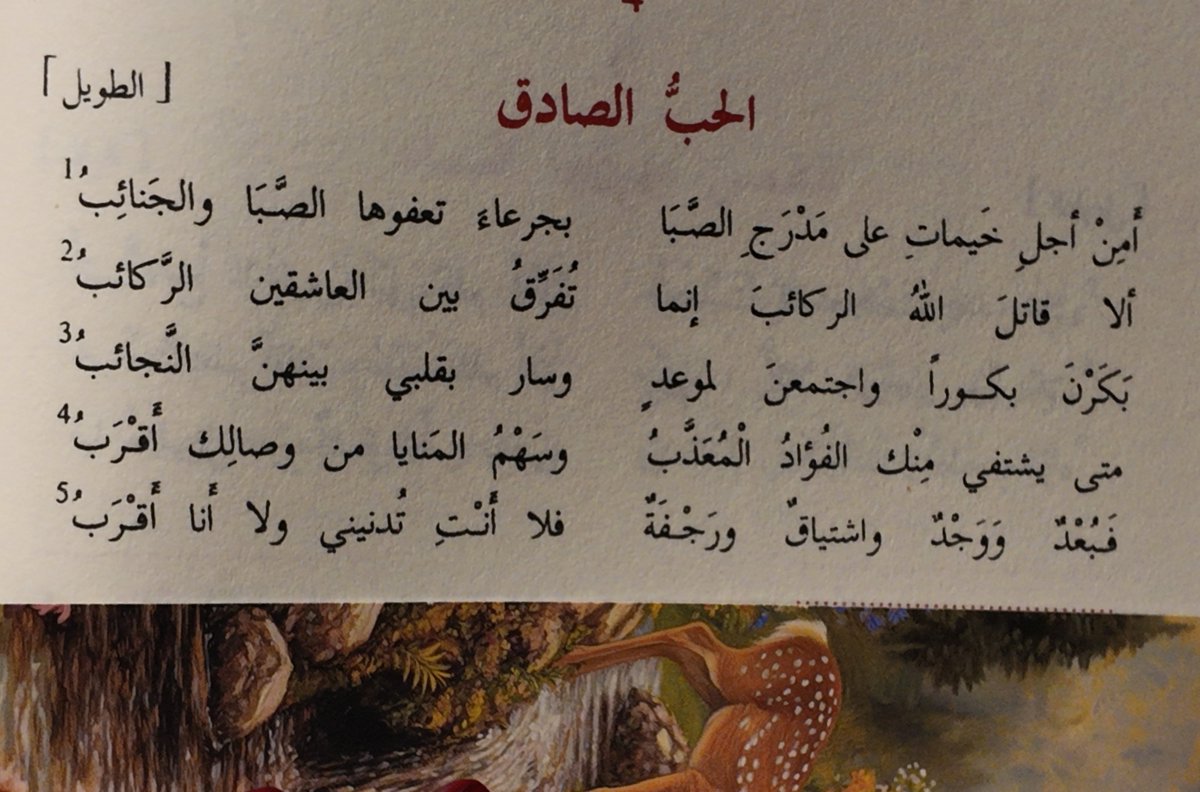 iylilli's tweet photo. قراءات ماقبل النوم https://t.co/F6lPTTJ1rL