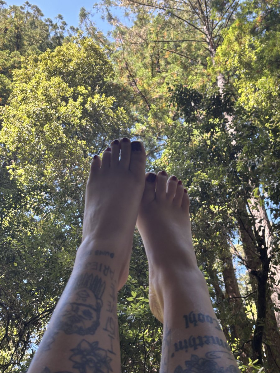 toetally_soled's tweet photo. It seems everyone is just a scammer these days. What happened to the real guys who actually purchase real content?  I’m not paying “$20 to verify my account and get my payment.” 🚩#feetworshi̇p #footfetısh https://t.co/t3n4mBuwNC