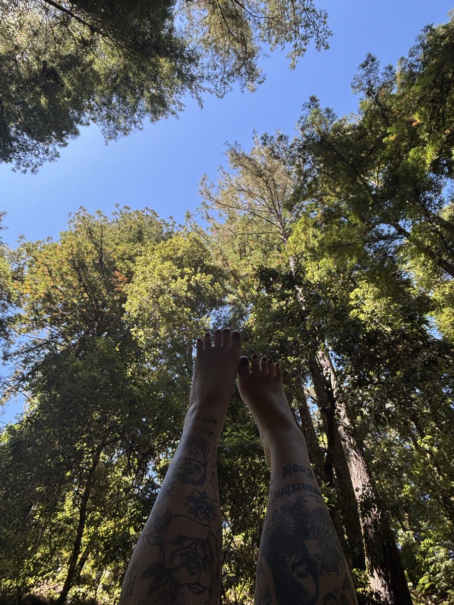 toetally_soled's tweet photo. It seems everyone is just a scammer these days. What happened to the real guys who actually purchase real content?  I’m not paying “$20 to verify my account and get my payment.” 🚩#feetworshi̇p #footfetısh https://t.co/t3n4mBuwNC