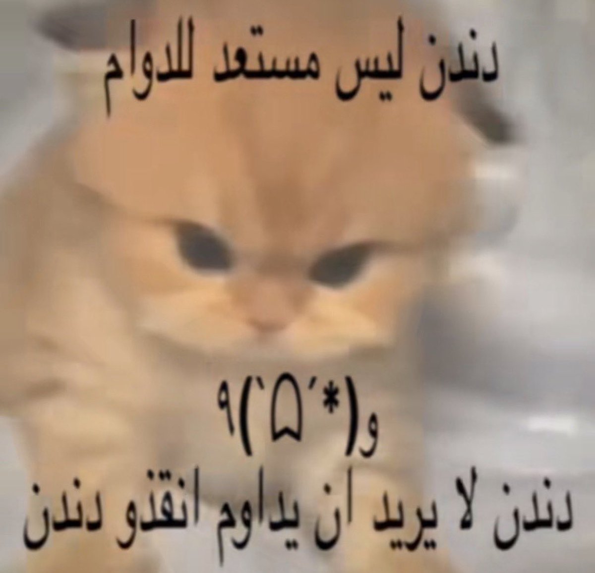 _sunvv's tweet photo. اختبار واجبات مشاريع👍🏿😭😭 https://t.co/YXxgRcGueJ