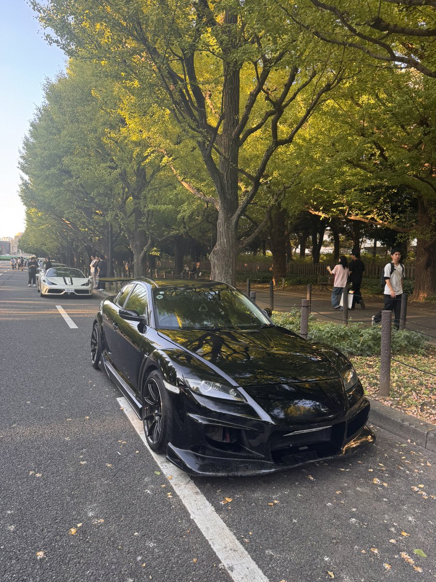 tomitomiJ1111's tweet photo. 銀杏並木臭かった https://t.co/5xIO3bkI0u