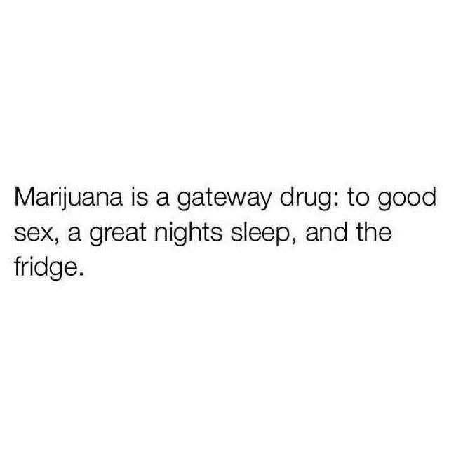 SJsMemes420's tweet photo. https://t.co/Pm1GimCiS8
