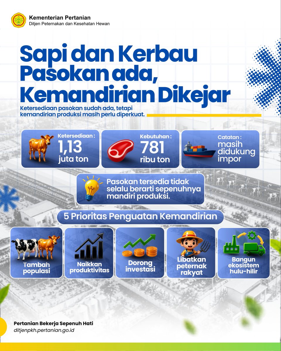 ditjen_pkh's tweet photo. #SobatTernak, Oktober, O-nya apa? Optimis!
Optimis menuju swasembada protein hewani! Pasokan ayam dan telur sudah surplus, sementara penguatan produksi daging sapi dan susu terus didorong melalui peningkatan produktivitas, investasi, dan hilirisasi.
Yuk, Sobat Ternak, simak infografis berikut untuk mengetahui langkah menuju swasembada protein hewani !
#KementanRI #DukungPeternakLokal #SwasembadaPangan #swasembadaprotein