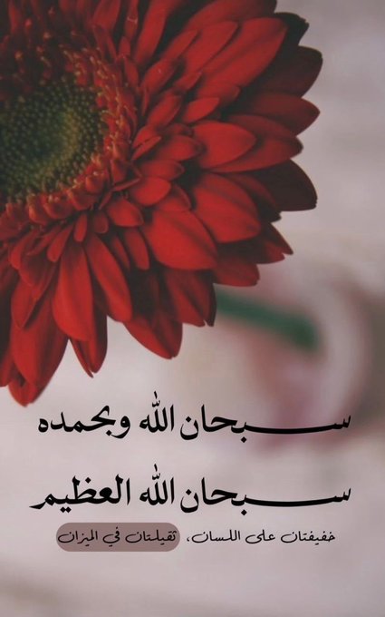 A red gerbera daisy appears alongside Arabic Islamic text and the phrase 'سُبْحَانَ اللَّهِ وَبِحَمْدِهِ سُبْحَانَ اللَّهِ الْعَظِيمِ', credited to 'فهدفات على اللسان ، فهدفات في الميزان'.