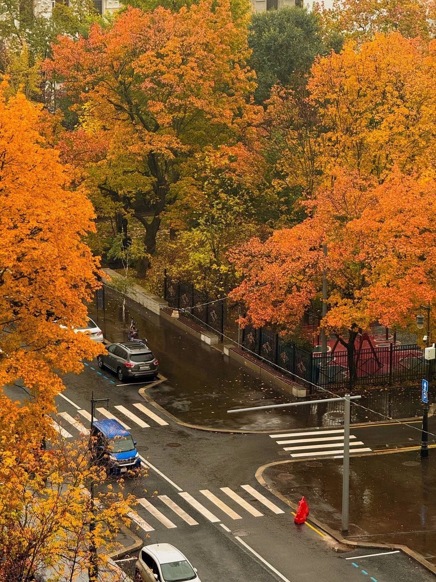 fromkyahseyes's tweet photo. autumn views🍂 https://t.co/kEhcayQbYT