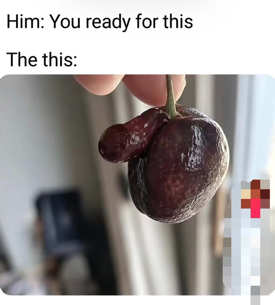 TiaLoops2's tweet photo. 😭🤣💀💀💀 https://t.co/CE2EIZeWhW