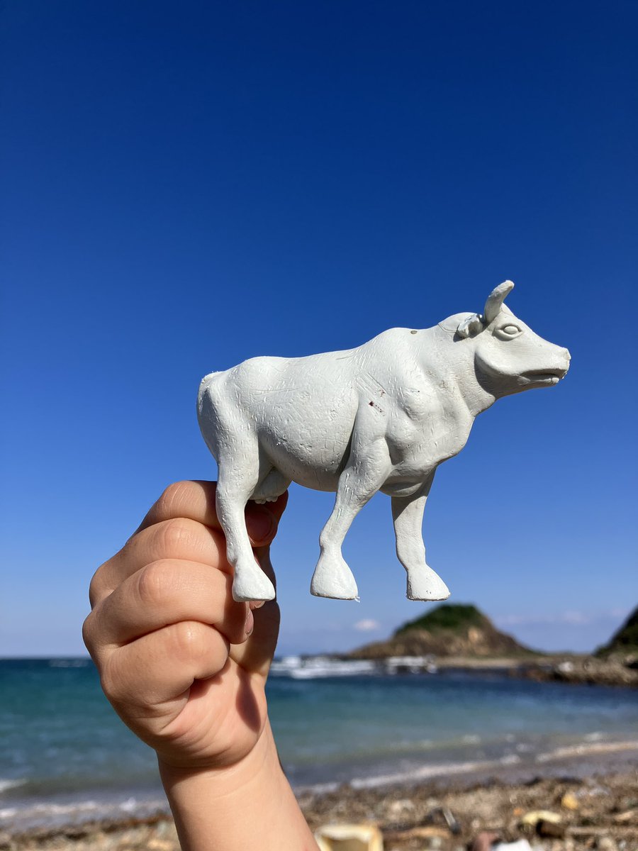 katsugoro2018's tweet photo. 丑年生まれの娘が海で拾った牛🐄 https://t.co/XwBEhziEiU