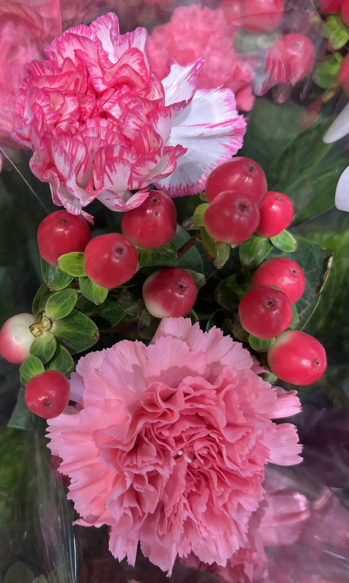 Storiesulfe's tweet photo. おはよ🪷 https://t.co/dPOzGvRdRL