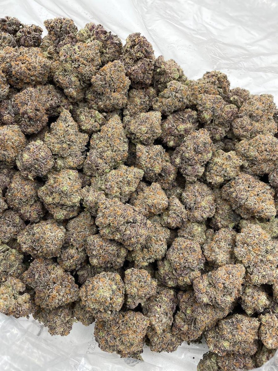culturekus's tweet photo. Shop Open 🔌🔥
Weed Truckee weed Fort Bragg Weed Mendocino weed willits Weed Ferndale Weed Solvang weed Sausalito weed Idyllwild Weed Half Moon Bay weed San Anselmo weed Arcata weed Mammoth lake weed Mill valley https://t.co/vxFRRiLAFj