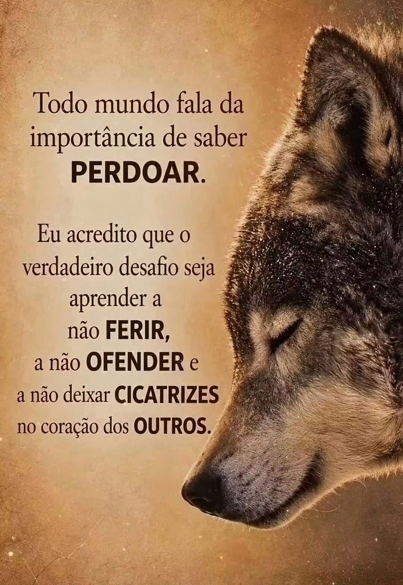 LucinhaPesci's tweet photo. Boa noitinha queridos amigos! 💚💛💙🤍🇧🇷🙏 https://t.co/atmaQWN1SH