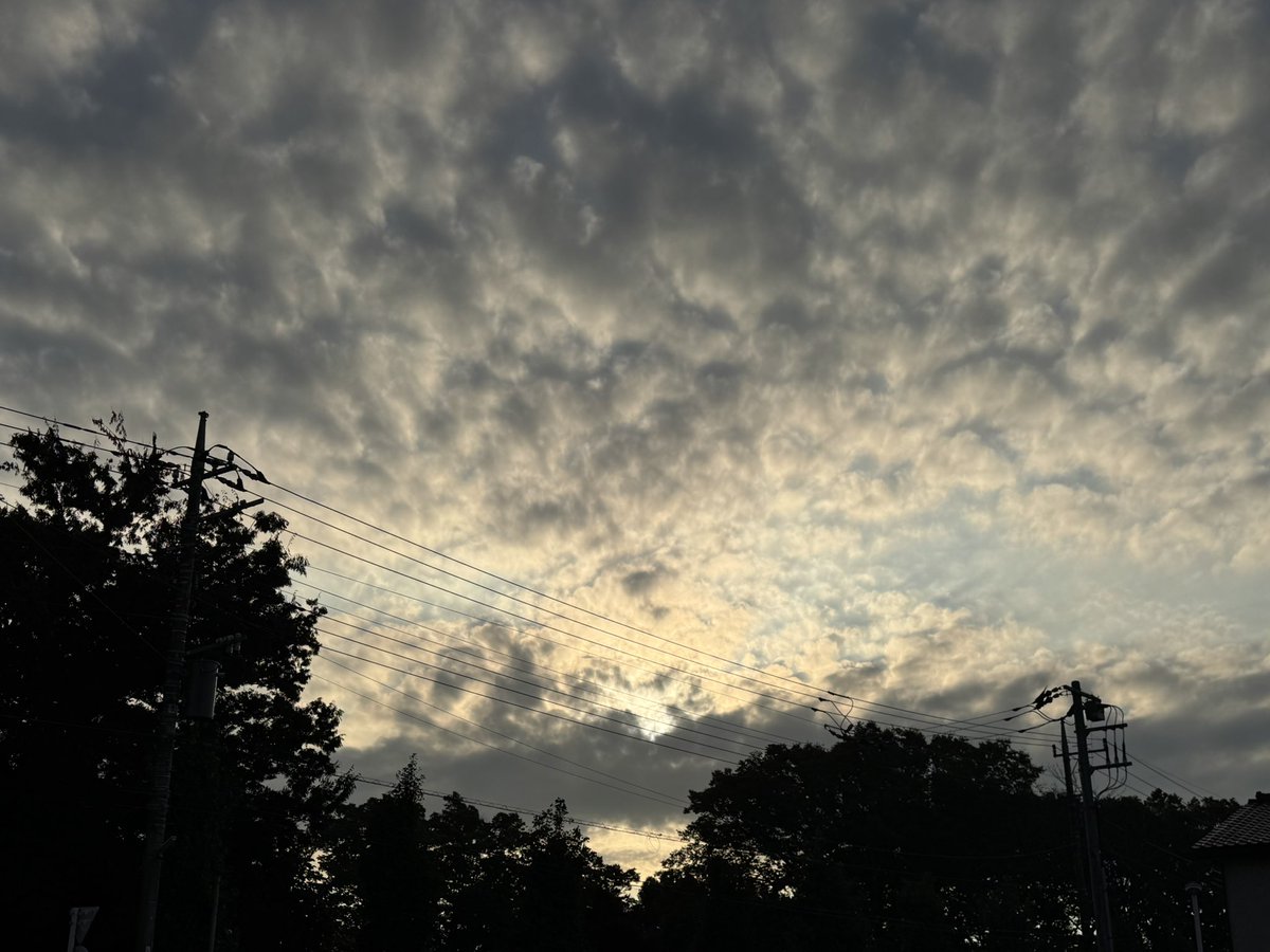 sunsunriko's tweet photo. おはようございます。日曜の朝もしっかり朝を感じてきました。感謝。
#朝活　#朝空　#空が好き https://t.co/zVqZ0p2BCf