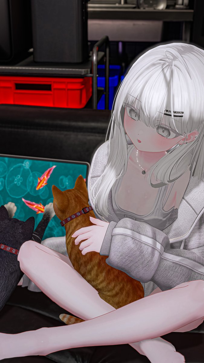 botamoccino_vrc's tweet photo. 🐈‍⬛🐈 https://t.co/rvEchBYLiT