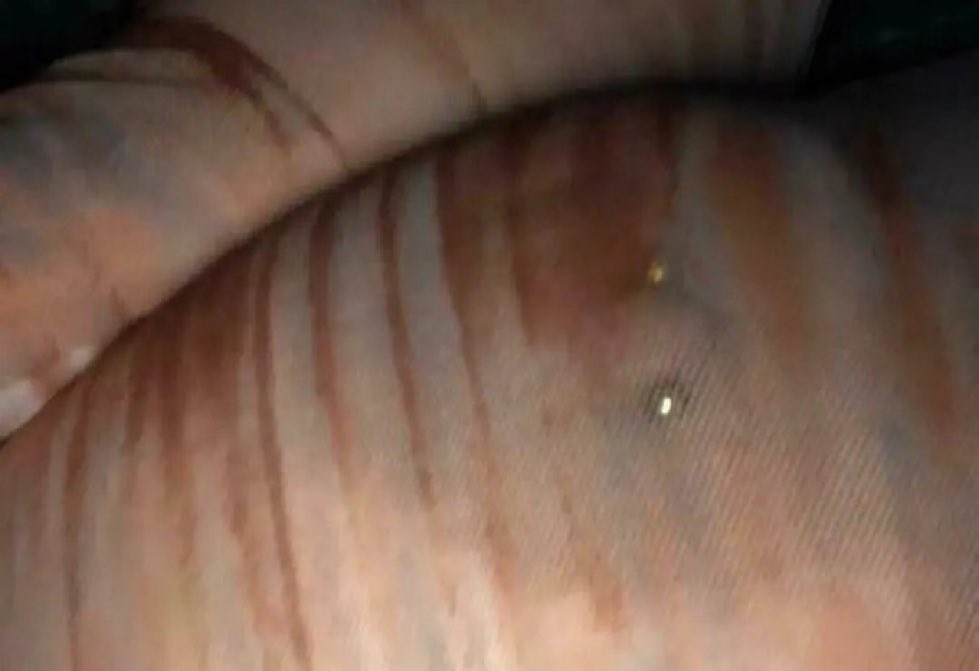 sonlahbh's tweet photo. Anyone love huge pierced naturals 🫶🏼 https://t.co/M9XI5r6r7v