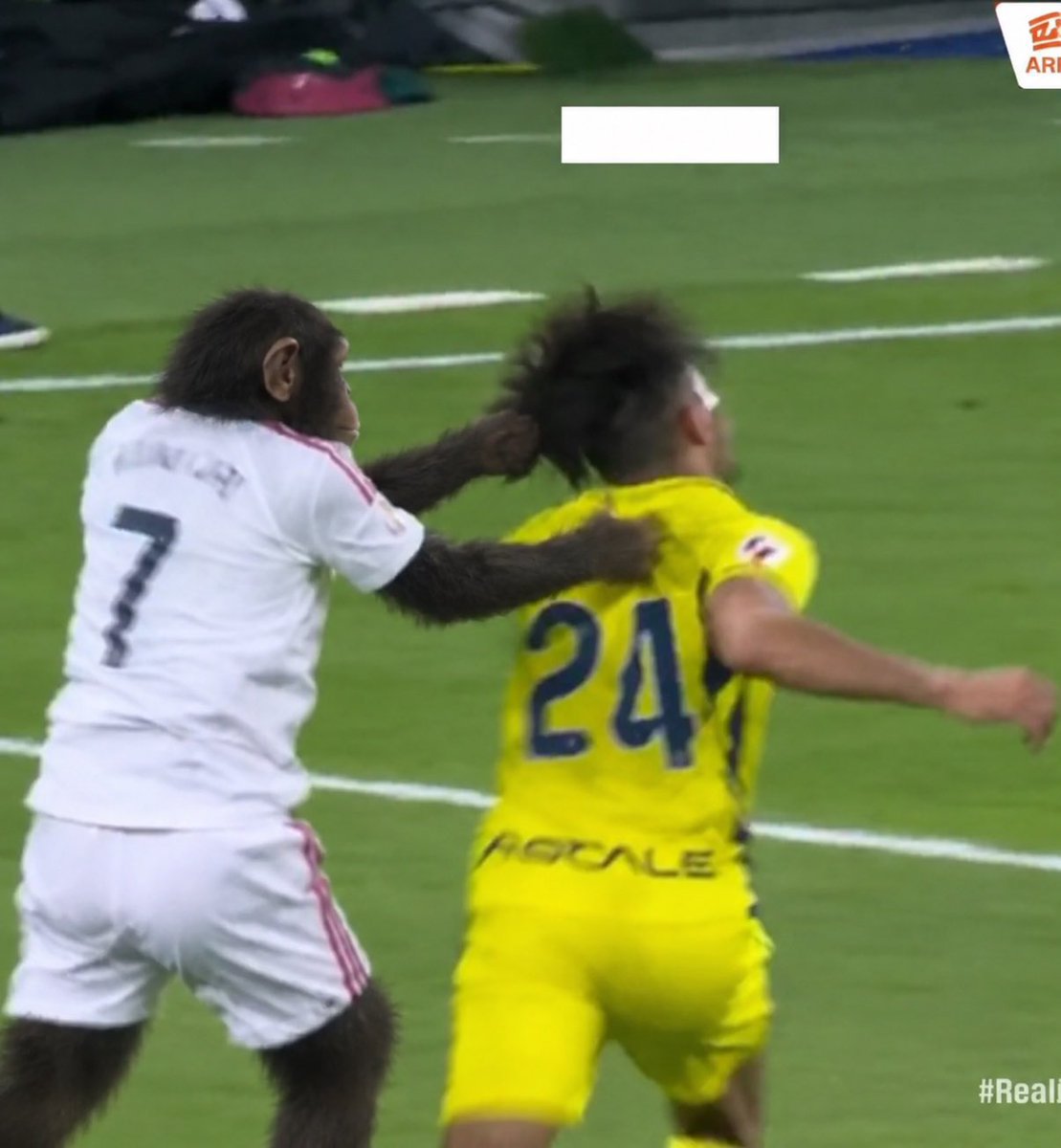 FaunaAmazon's tweet photo. Vinícius: "No soy un mono"

Vinícius: https://t.co/4Kteye3WR4