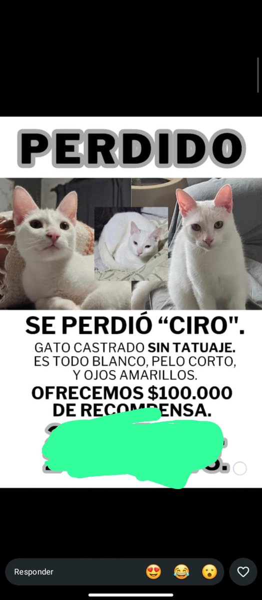 ssducti0n's tweet photo. Me perdí chicos https://t.co/NYJvA63X71