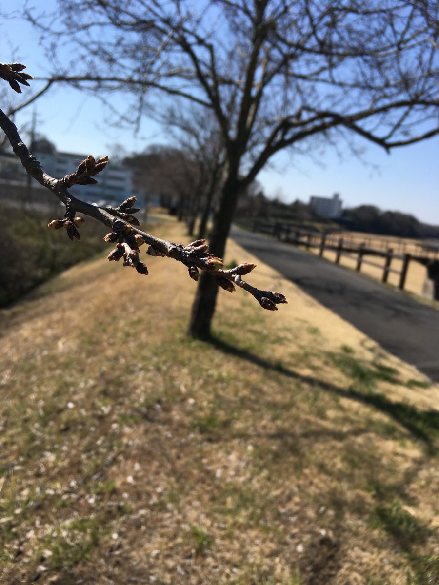 nameguri's tweet photo. バイバイ。川の写真は既に削除済みだった。 https://t.co/FCR1YgsFdT