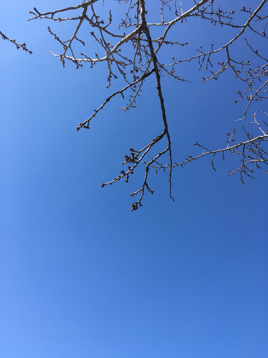 nameguri's tweet photo. バイバイ。川の写真は既に削除済みだった。 https://t.co/FCR1YgsFdT