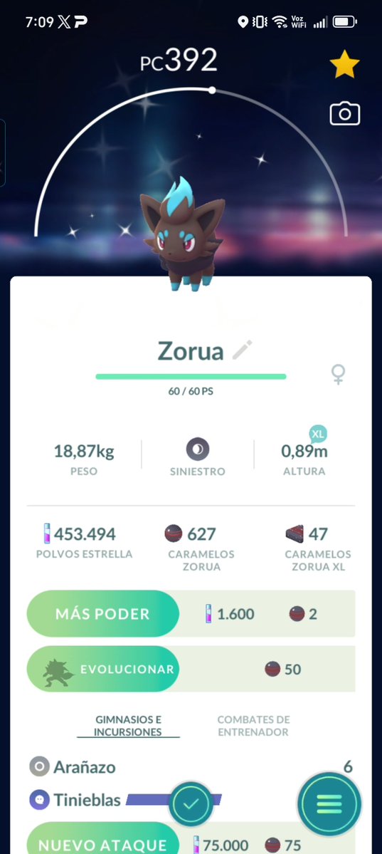DarioCiber's tweet photo. 3 Zoruas shinys capturados este día  de la comunidad, no se porque todas son hembras xd.
#Pokémon #Zorua https://t.co/k0BF3odIRE