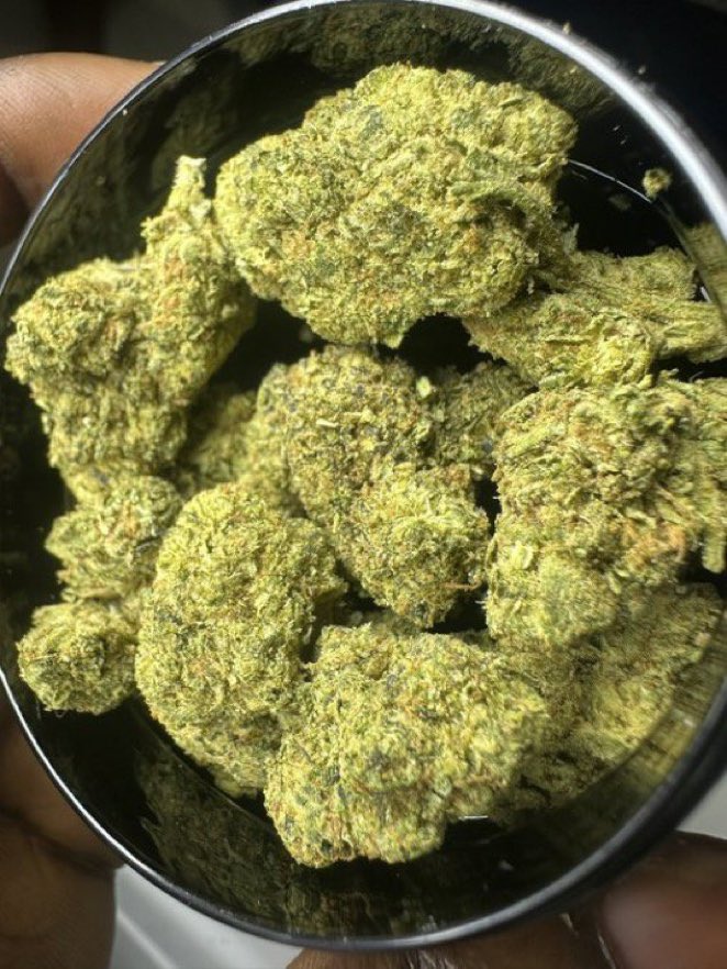 Bocabeachbum1's tweet photo. TROPICANA CHERRY 🍒
AVAILABLE IN BIT N BULK 📦
☎️ORDER ON TELE: https://t.co/L4KVognVPN
NEED SOMETHING ELSE?

#cannabis #strain #flower #budshots #weedculture https://t.co/34MAYijfwV
